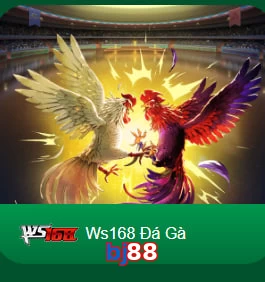 bj88